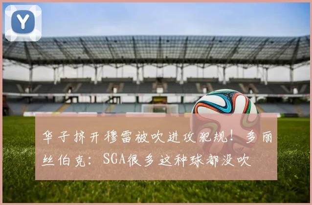 华子挤开穆雷被吹进攻犯规！多丽丝伯克：SGA很多这种球都没吹