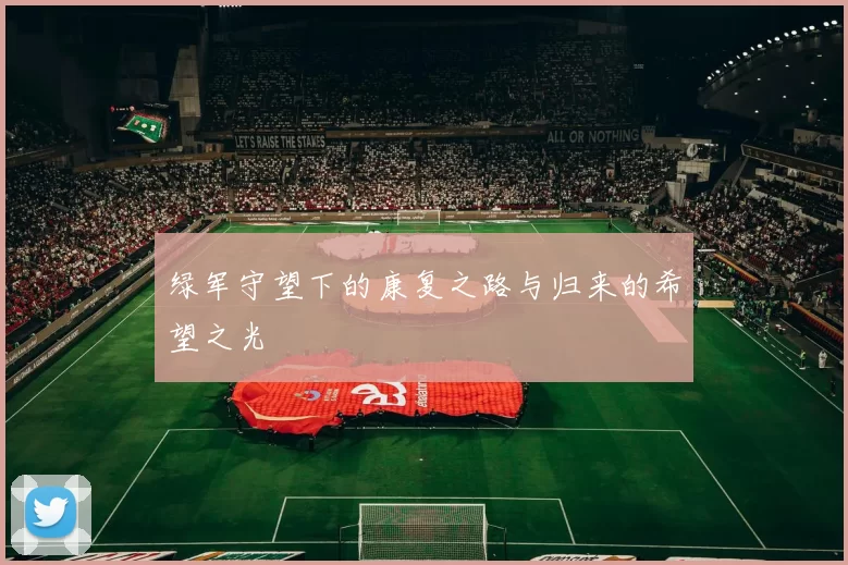 绿军守望下的康复之路与归来的希望之光